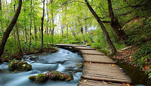 Nature Escapes 2 Collector's Edition