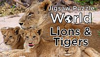 Jigsaw Puzzle World - Lions & Tigers für PC kaufen