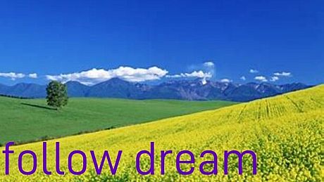 follow dream Game