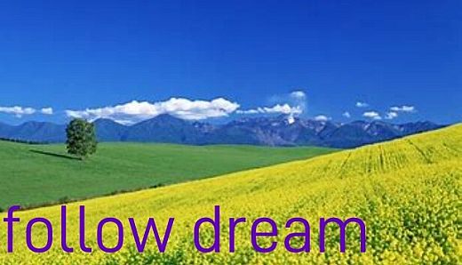 follow dream