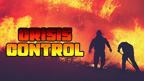 Crisis Control Game