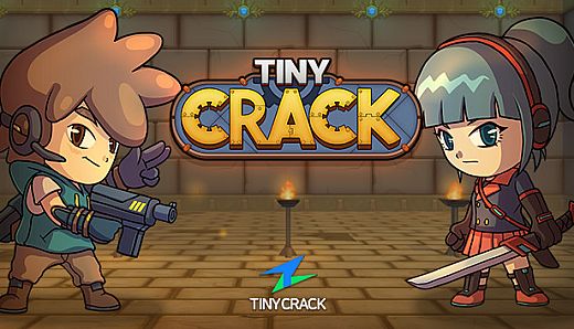 TinyCrack