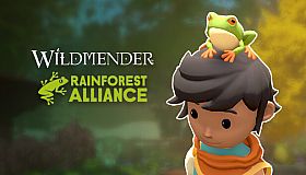 Wildmender - Rainforest Alliance Frog Hat