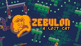 Zebulon: A Lost Cat
