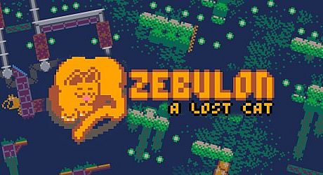 Zebulon: A Lost Cat Game
