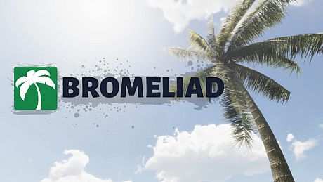 Bromeliad Game