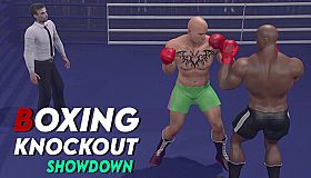 Boxing Knockout Showdown