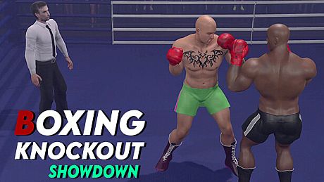 Boxing Knockout Showdown Game