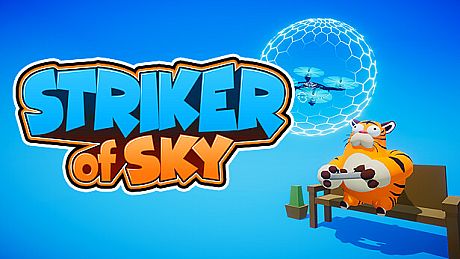 STRIKER of SKY Game
