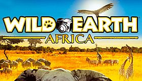 Wild Earth - Africa