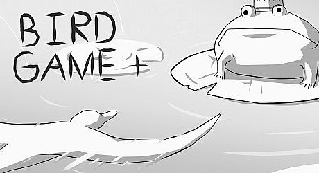 Bird Game + Game