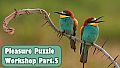 Pleasure Puzzle:Workshop - Part 5