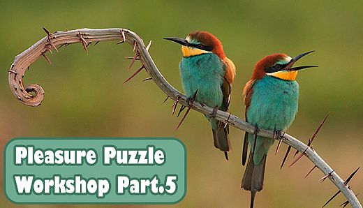 Pleasure Puzzle:Workshop - Part 5