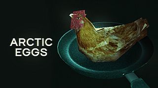 Arctic Eggs