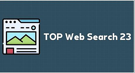 TOP Web Search 23 Game