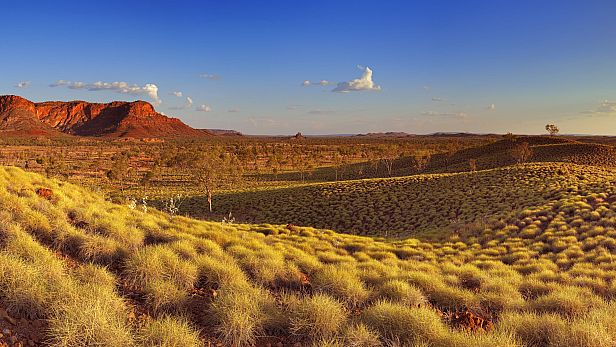 Buy Puzzle Vacations: Australia and New Zealand