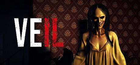 Veil Game