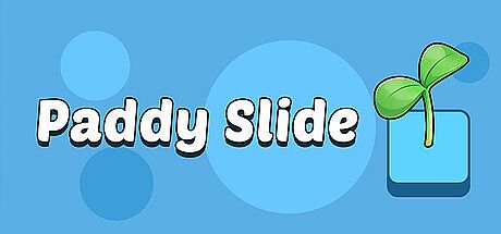 Paddy Slide Game