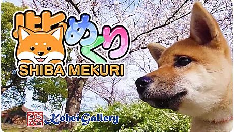 Shiba Mekuri 柴めくり Game