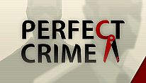 Acheter Perfect Crime PC