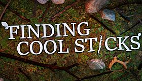 Finding Cool Sticks