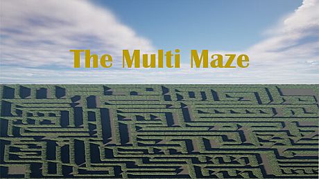 The Multi Maze Game
