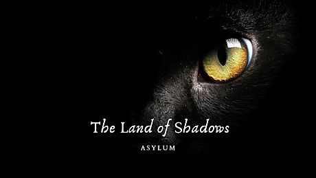 The Land of Shadows : Asylum Game