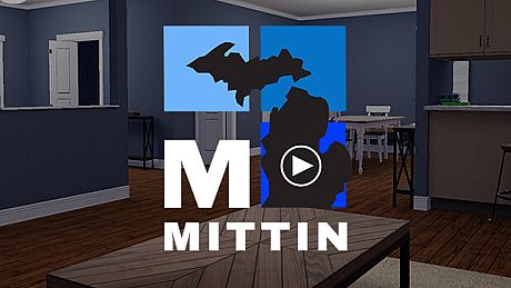 MITTIN: Clean Flat Surfaces Game