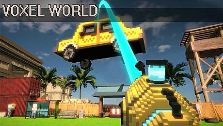 Voxel World Game