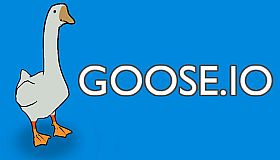GOOSE.IO