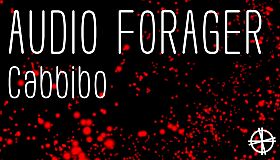 Audio Forager