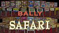Bingo Pinball Gameroom - Bally Safari