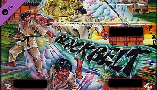 Zaccaria Pinball - Blackbelt Table