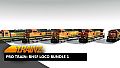 Trainz Plus DLC - Pro Train: BNSF Loco Bundle 1