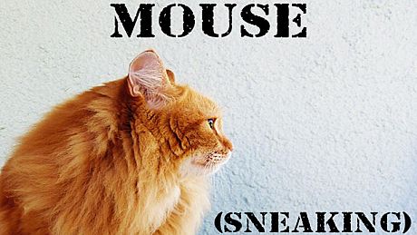 Mouse (Sneaking) Game