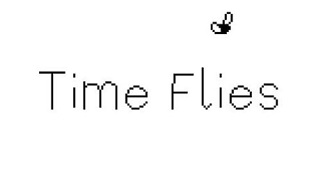 Time Flies Game