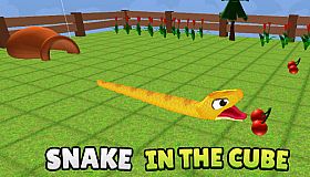 Snake In The Cube