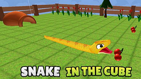 Snake In The Cube