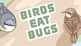 Birds Eat Bugs
