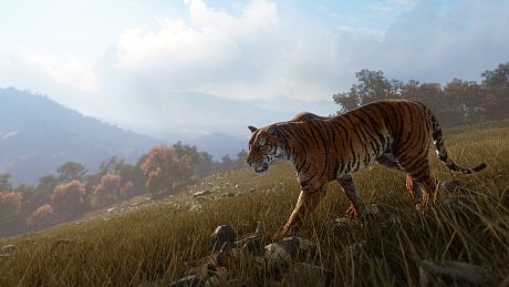 theHunter: Call of the Wild - Sundarpatan Nepal Hunting Reserve Bundle