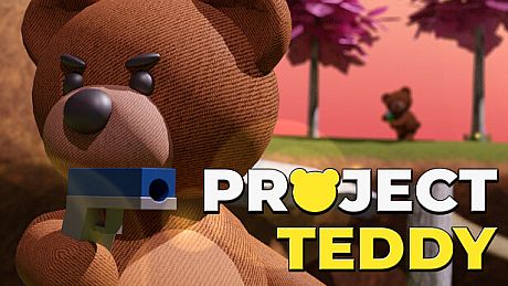 Project Teddy