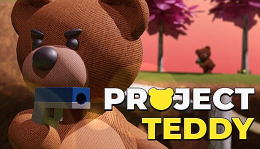 Project Teddy