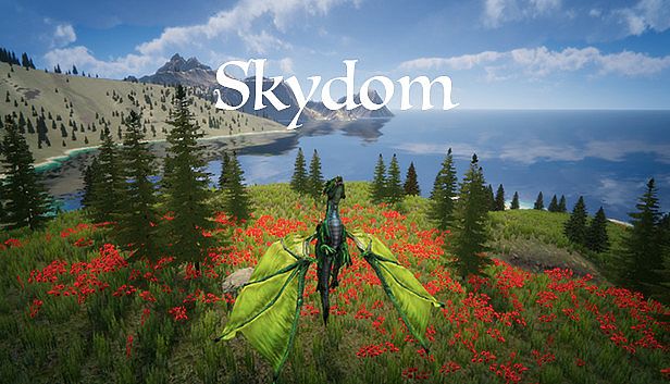 Buy Skydom