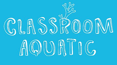 Classroom Aquatic Game