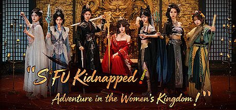 SIFU Kidnapped! Adventure in the Women's Kingdom Game
