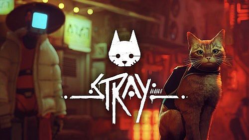 Stray