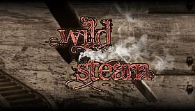 RPG Maker VX Ace - Wild Steam Resource Pack