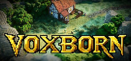 Voxborn Game