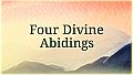 Four Divine Abidings: Supporter