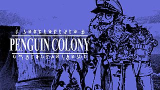 Penguin Colony Game